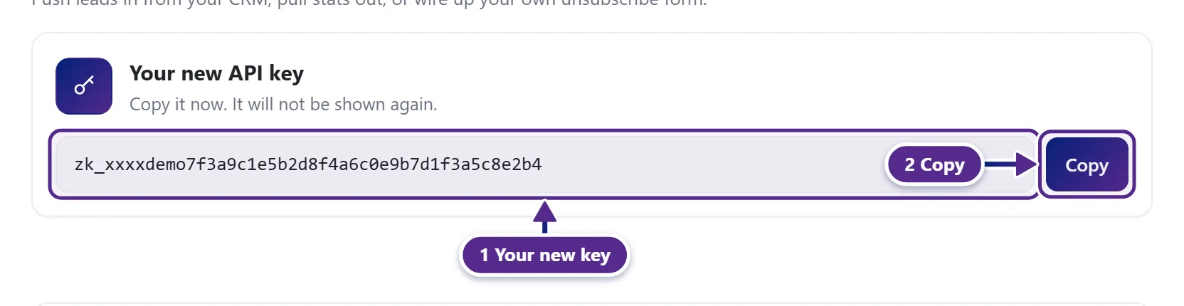 The Your new API key card with the key and its Copy button.