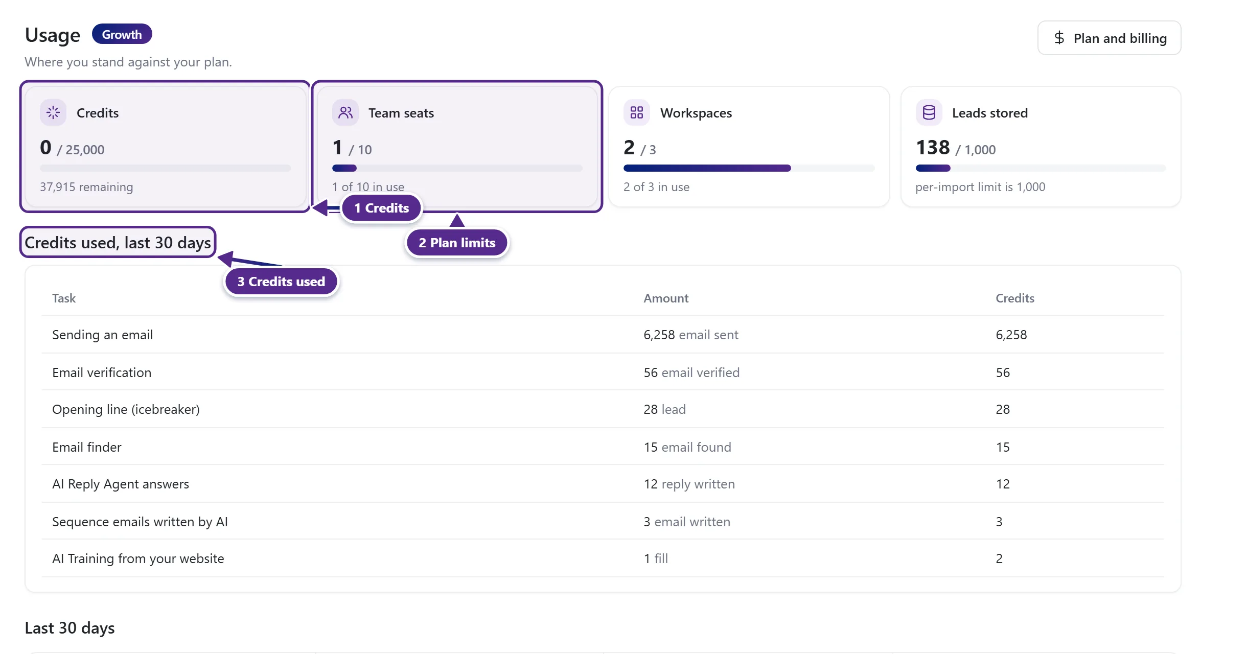 The Usage page with the credits, seats, workspaces and leads stored meters and the credits used table.