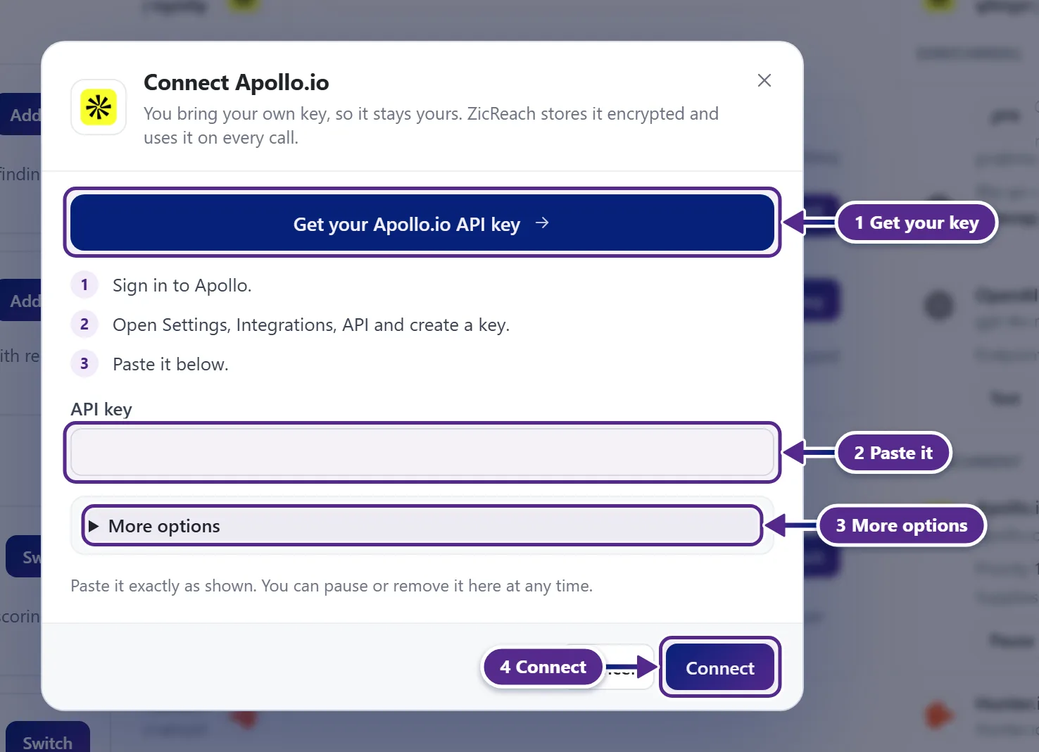 The Connect popup of a provider with the API key field, More options and the Connect button.