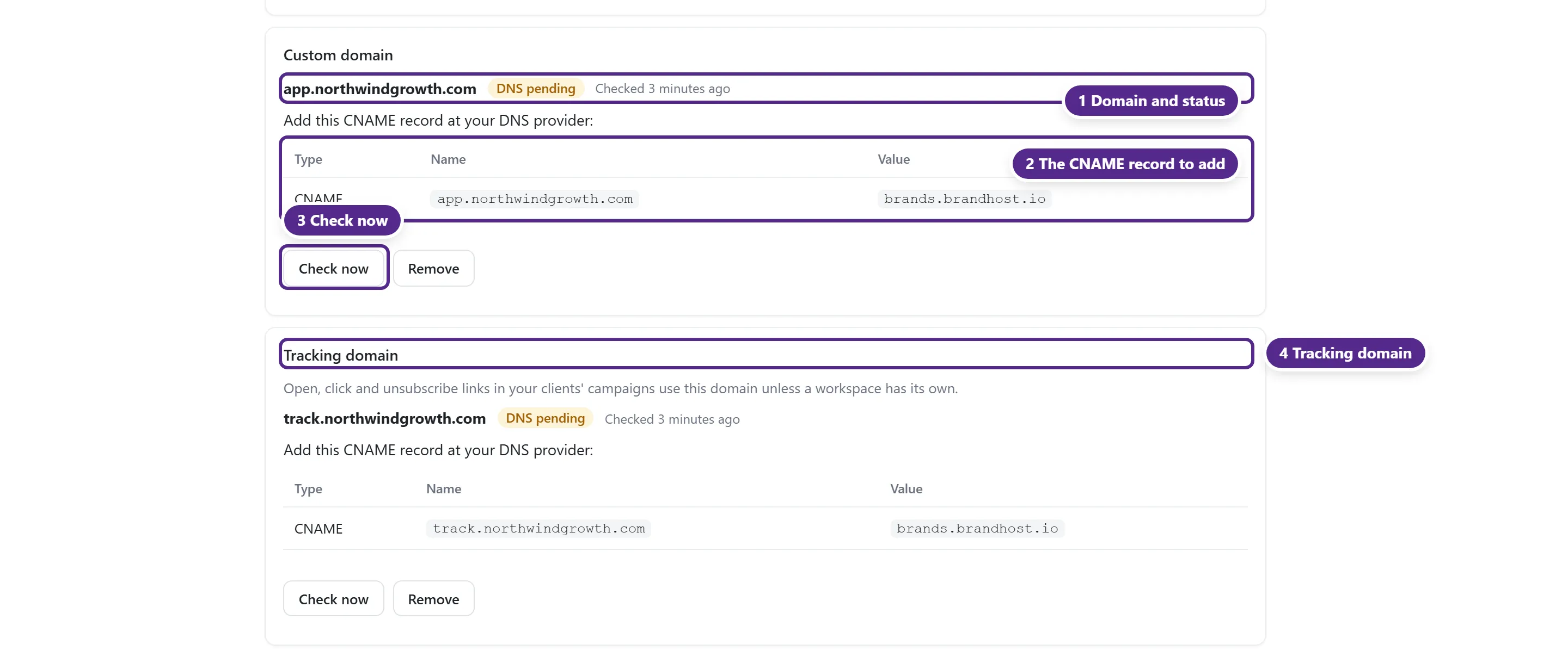 The Custom domain card with a domain waiting for DNS, the CNAME record to add, Check now and Remove, and the Tracking domain card below it.