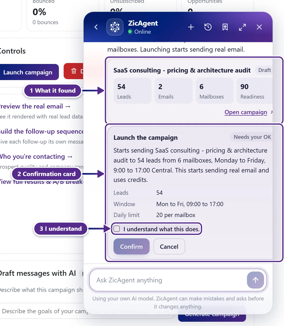 A ZicAgent chat that prepares a campaign launch, with the campaign card and a confirmation card with the I understand tick.